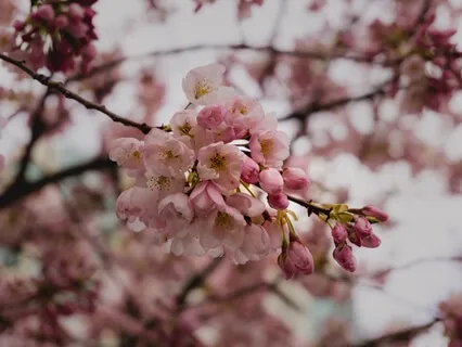 Be Grateful Today! Affirmations To Lift Your Gratitude Vibe