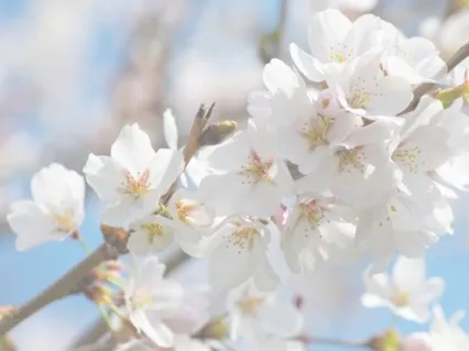 Be Grateful Whatever You Have