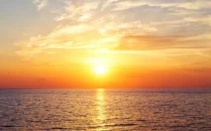 Be Grateful - Why Struggle? (Book Excerpt)