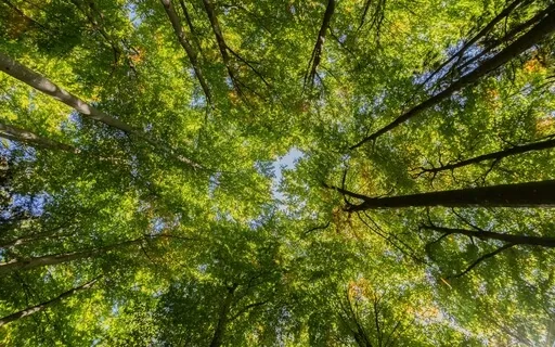 Be Guided To A Deep Meditative State - Meditation 25