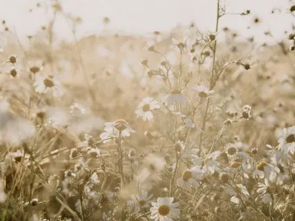 Be Held By Divine Light – Guided Visualization