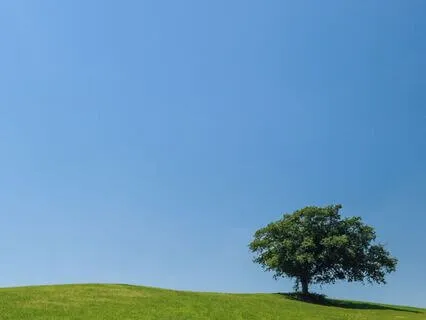 Be Here Now: A Simple Mindfulness Practice