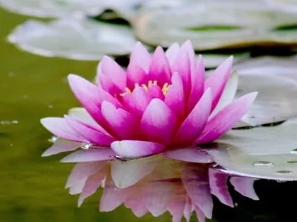 Be Here Now, Float Tank Experience Guided Meditation