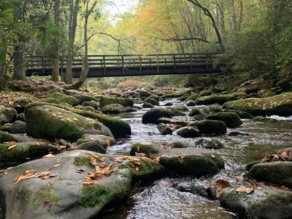 Be Here Now! - High Alpha Wave Binaural Beats