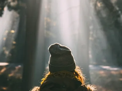 Be Here Now Journaling And Meditation Practice