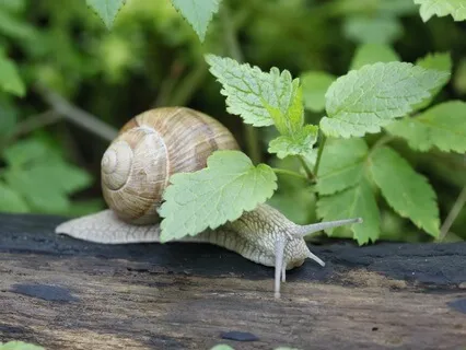 Be Here Now – Patience & Presence