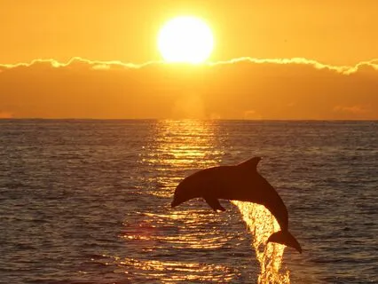 Be Here Now: Releasing Anxiety With Gratitude