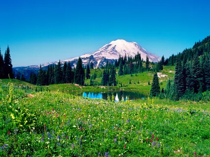 Be Here Now | Satellite Exercise