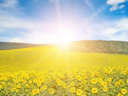 Be Here Now / A Walk In The Sun (Live Request)