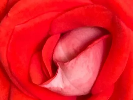 Be In The Light Meditation