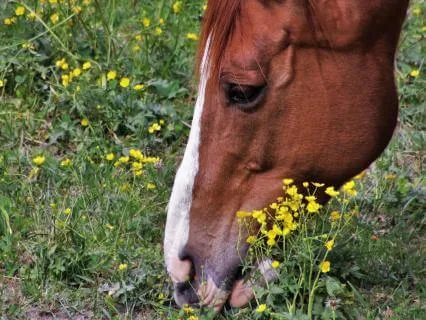 Be Inspired By Thinking And Feeling Higher