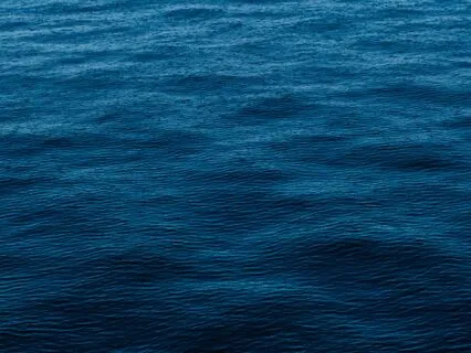 Be like Water: Empty, Clear, And Deep