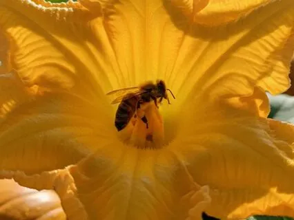 Be More Agreeable And Save Time