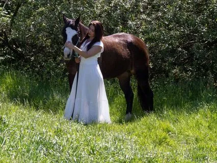 Be More Present - Lessons From Our Equine Partners