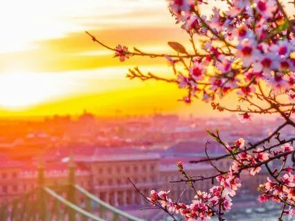 Be Positive Meditation