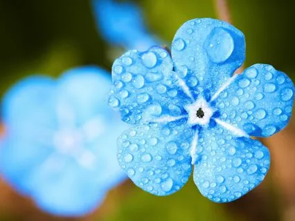 Be Present and Filled with Warmth, Peace, and Love