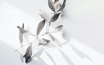 Be Present Meditation