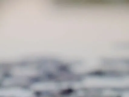 Be Present (Receptive Awareness)