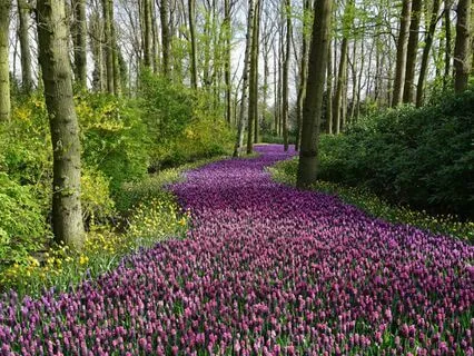 Be Silent Quick Morning Meditation For Peace And Confidence