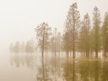 Be Silent (Why Struggle? Book Excerpt)