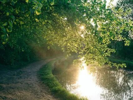 Be Still And Know That I Am