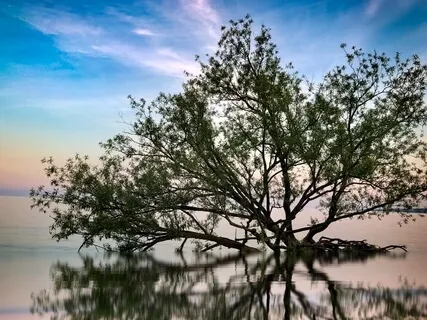 Be Still And Know You Are God