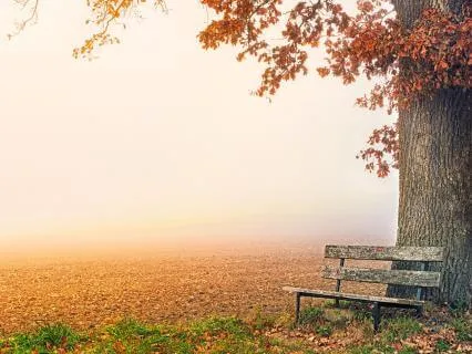 Be Still — From Energy Into Stillness - Morning Meditation