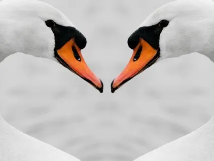 Be Still My Heart & Listen: Empowering Body & Mind With Soul