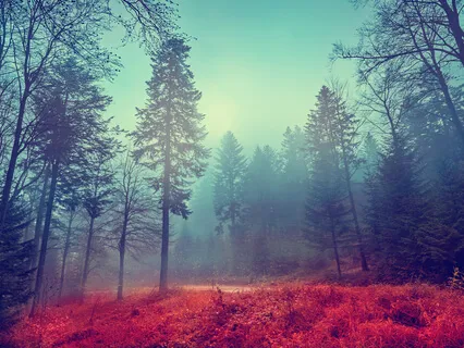 Be Still - Relaxing Piano With Gorgeous Raindrops For Sleep