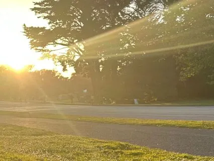 Be Still | Stillness Meditation