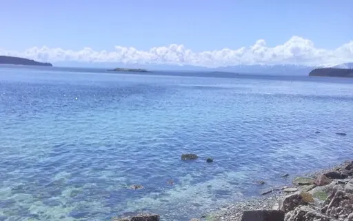 Be The Antidote LightCode Activation 