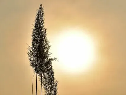 Be The Change - Cultivate Kindness Toward Yourself & Others