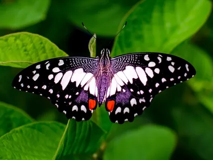 Be The Goo: Meditation For Turning Inward