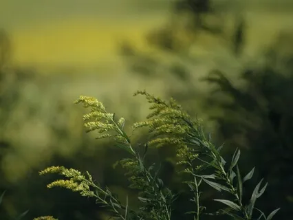 Be The Light Of Your Own Healing 