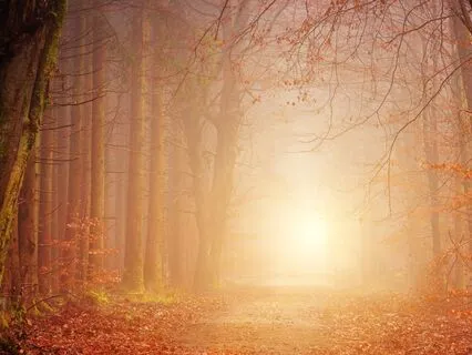 Be The Light – Compassion & Forgiveness Meditation