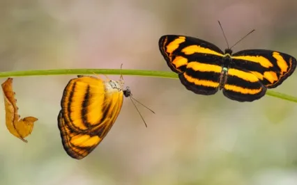 Be The Old You In The New Year!