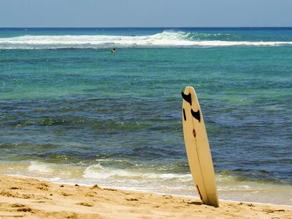 Be The Surfboard, Not The Log – A Buddhist Take On Difficult Emotions 