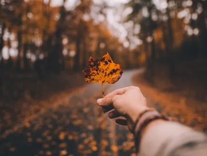 Be True To Yourself - You Really Do Know!