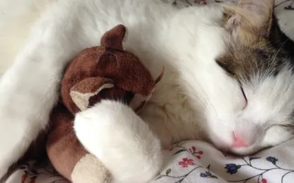 Be Unapologetically Yourself