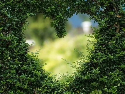 Be With Your Feelings