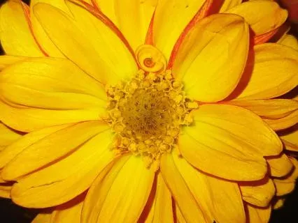 Be You | Semi-Short Pause | Nourishment And Self-Love
