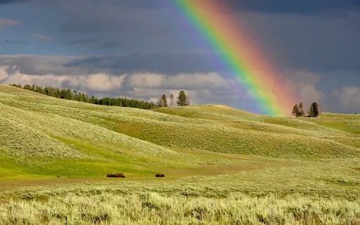 Be Your Best Self – Daily Affirmations