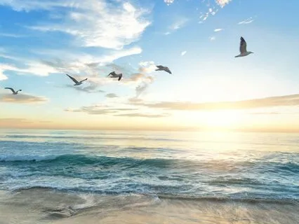 Beach Ambience Sound Bath