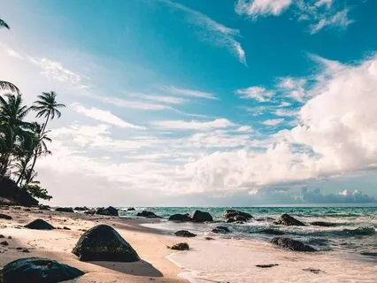 Beach Day (Bedtime Story)