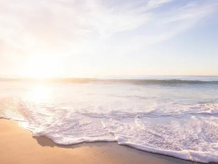 Beach Oasis Visualization