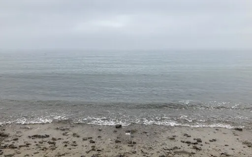 Beach Sounds On A Foggy Day