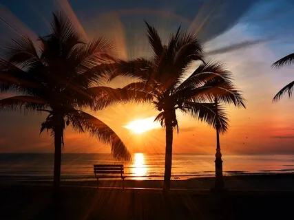 Beach Sunrise Meditation