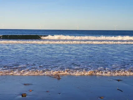 Beach Waves & Ambience
