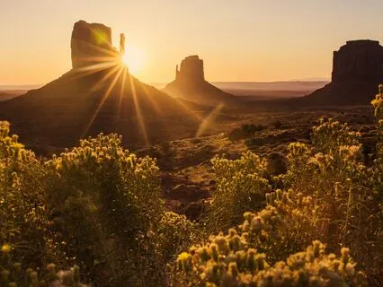 Beacon Of Light: Activating Codes Of Healing & Kindness