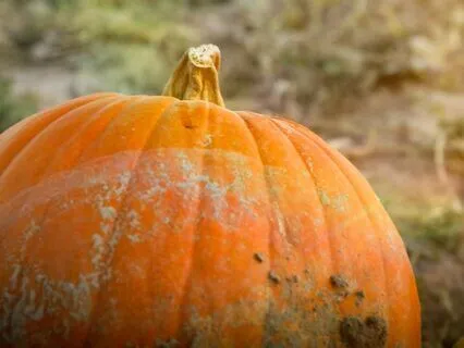 Beam Me Up: Bedtime Tale